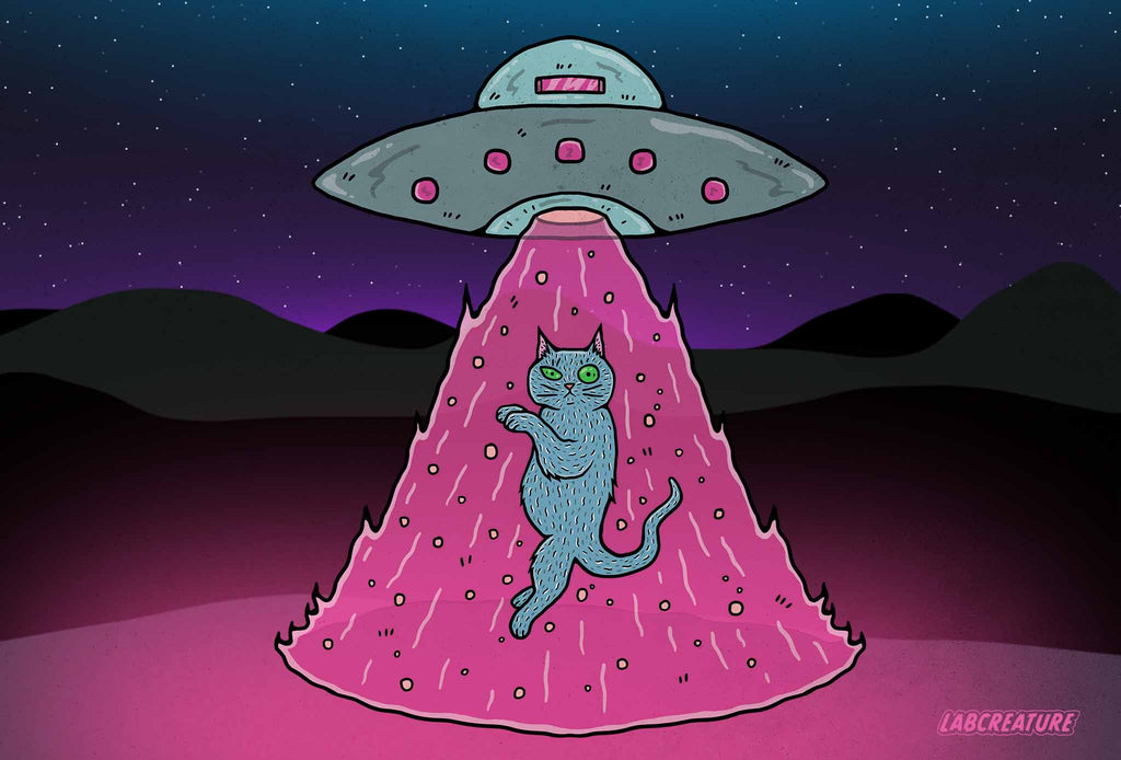 Illustration of a cat being beamed up by a UFO with a pink and grey color scheme