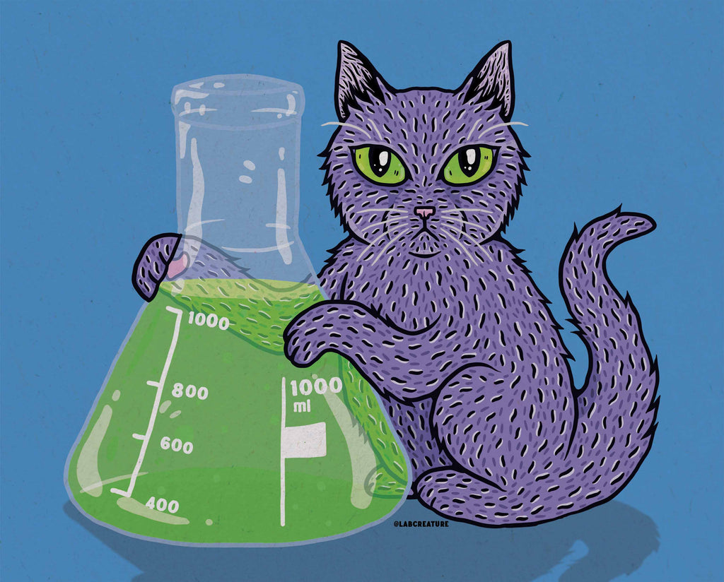 Science Cat With an Erlenmeyer Flask Full of a Mysterious Green Substance