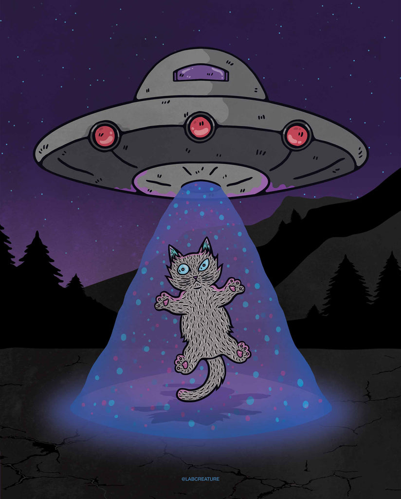 Illustration of a grey ufo with red lights and a purple and blue beam, beaming up a surprised grey cat with blue eyes on a starry night sky with mountains and trees in shadow