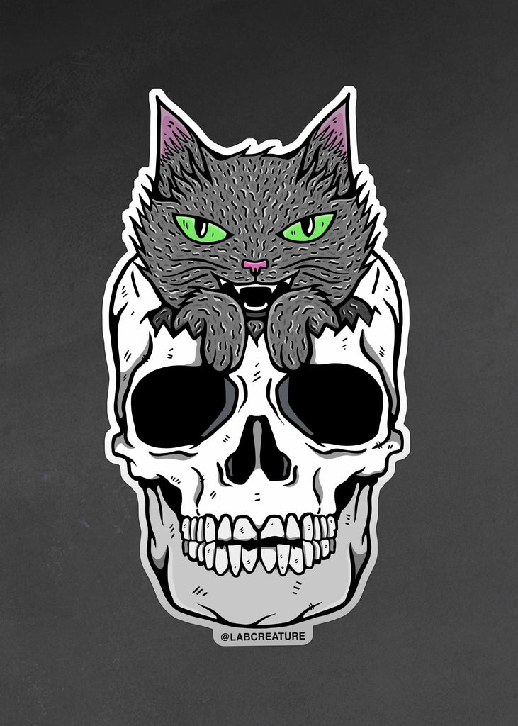 Photo of a vinyl sticker featuring an illustration of a grey cat sitting inside a human skull on a grey background